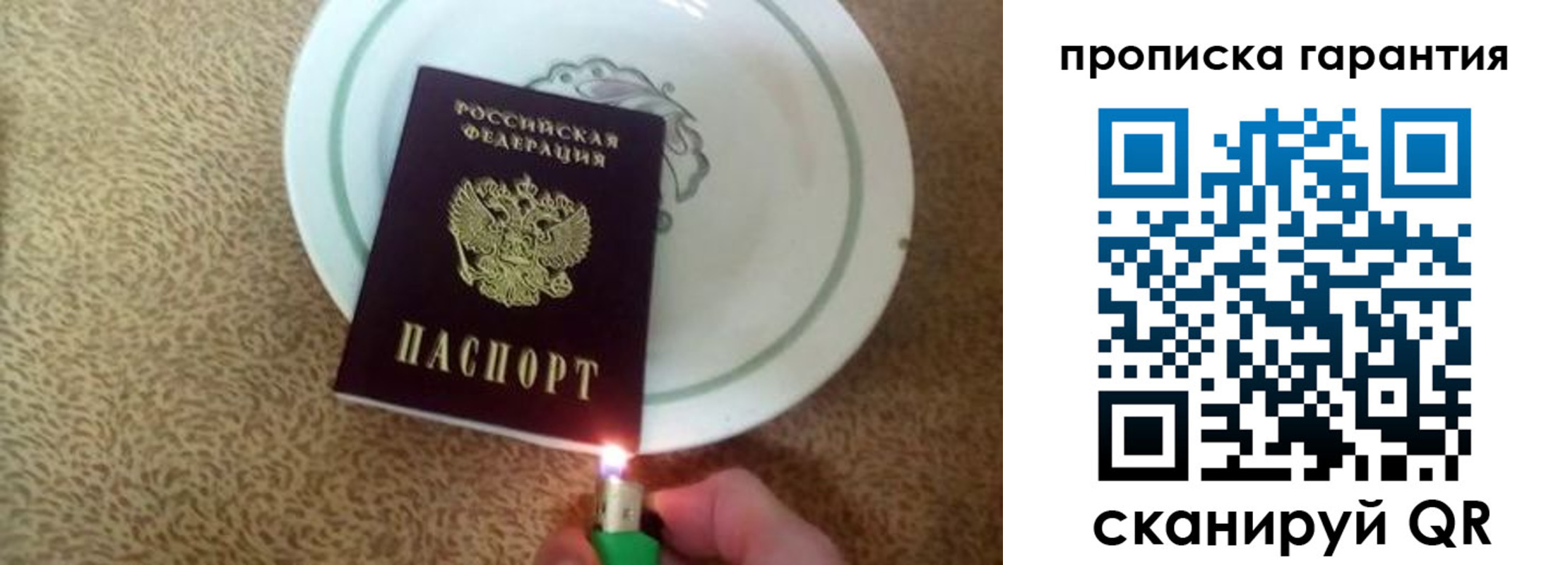 прописка гарантия в Жердевке